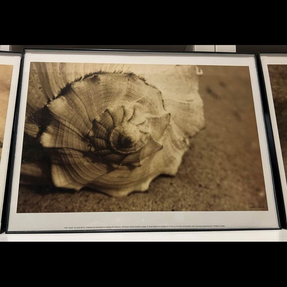 3 Beach Photograph Prints by Cyndi Schick - Picture 3 of 5